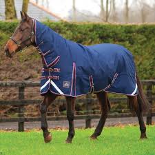 Keadeen Plus Full Neck Heavy Outdoor Rug - Navy/Burgundy