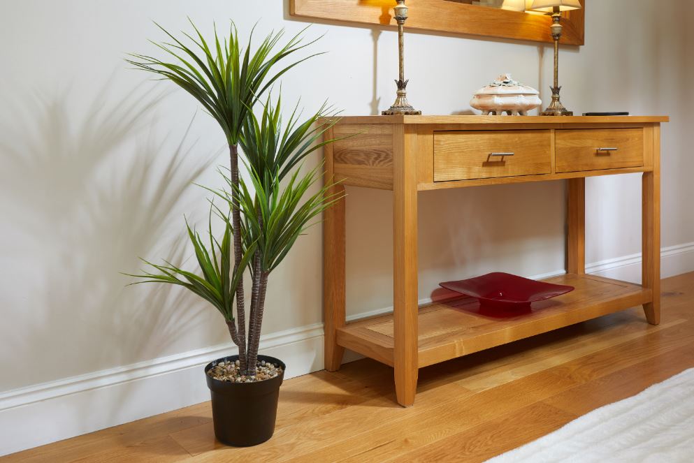 Dragon Tree 105 cm