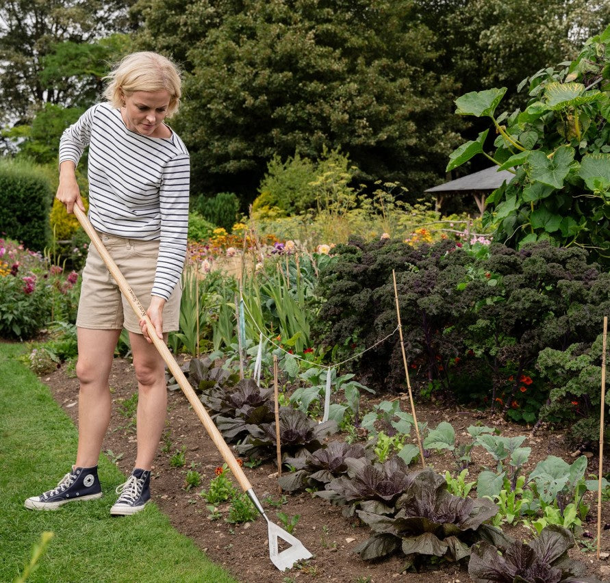 Kent & Stowe Carbon Steel Long Handled Dutch Hoe