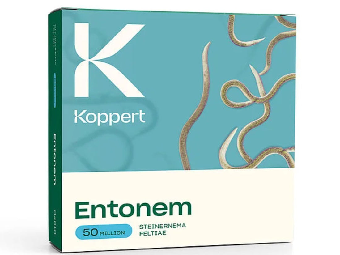 Entonem 50 Million - Vine Weevil Control