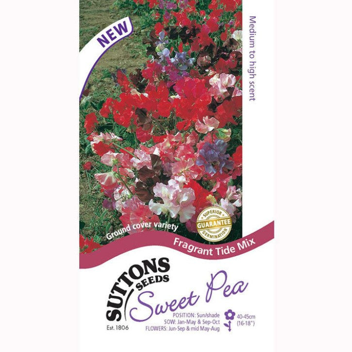 Sweet Pea Fragrant Tide Mix Flower Seeds