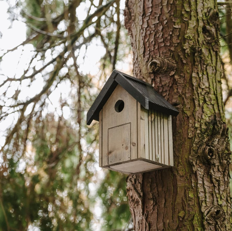 Peckish Garden Nest Box