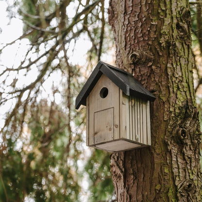 Peckish Garden Nest Box