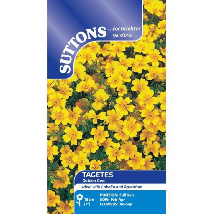 Tagetes Golden Gem Flower Seeds