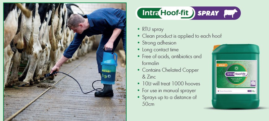 Intra Hoof-fit Bath Solution 10L