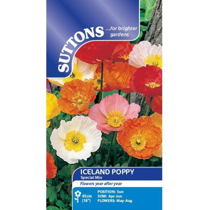Poppy Iceland Special Mix Flower Seeds