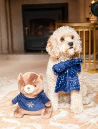 Cupid &amp; Comet Sparkle Slid On Dog Bow - 23cm