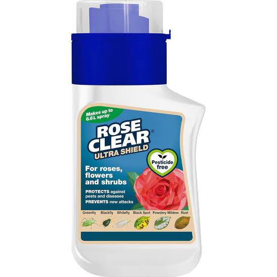Rose Clear Ultra Shield Concentrate - 200ml