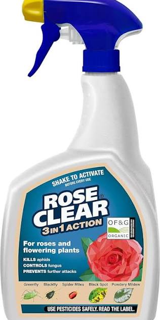 Rose Clear Organic 3 In 1 Ready to Use - 800ml