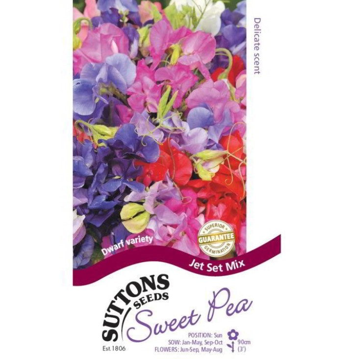 Sweet Pea Jet Set Flower Seeds