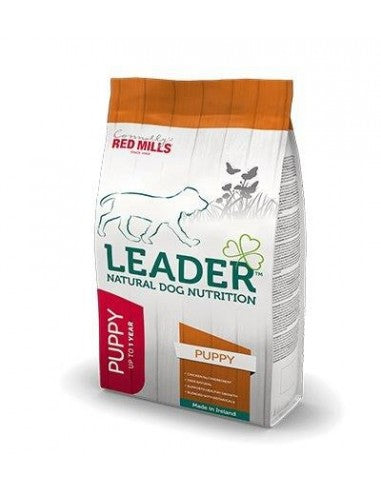 Red Mills Leader Puppy