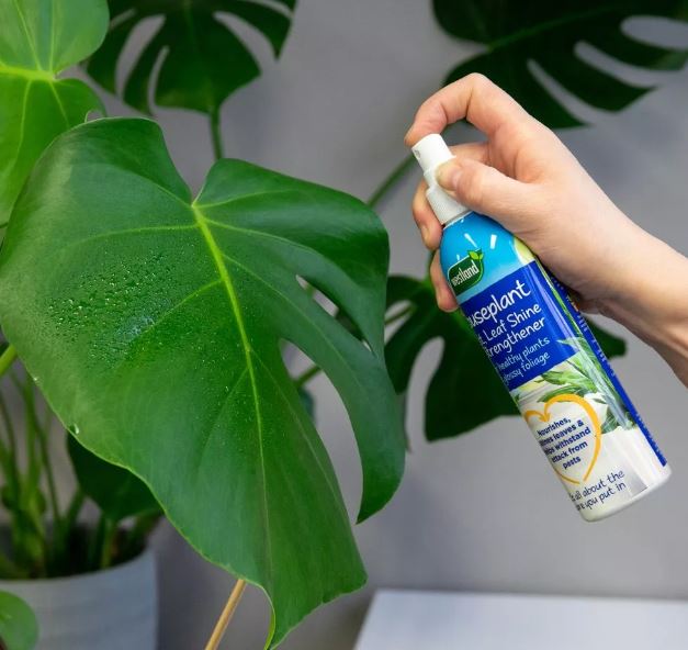 Westland Houseplant Mist &amp; Leaf Shine 250ml