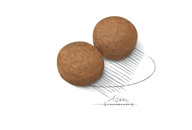 Royal Canin Maxi Adult 4kg