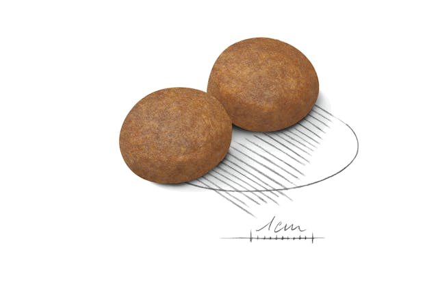 Royal Canin Maxi Adult 5+ 15kg