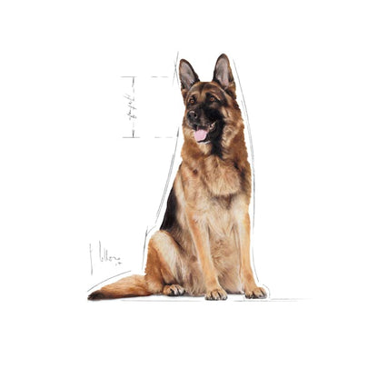 Royal Canin Maxi Adult 5+ 15kg