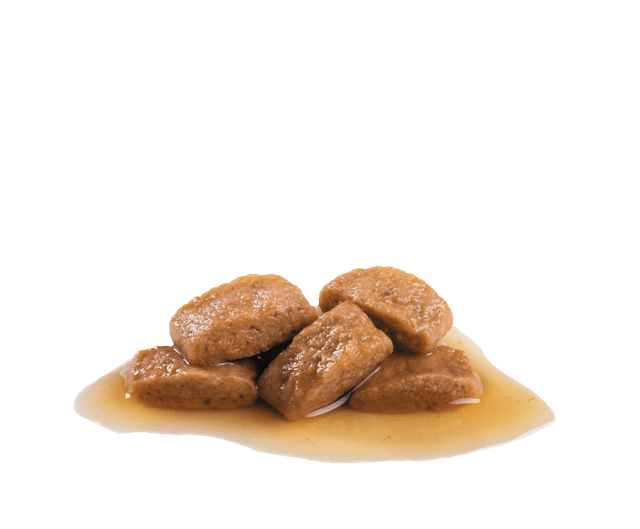 Royal Canin Maxi Adult Chunks In Gravy 140 x 10 Pack