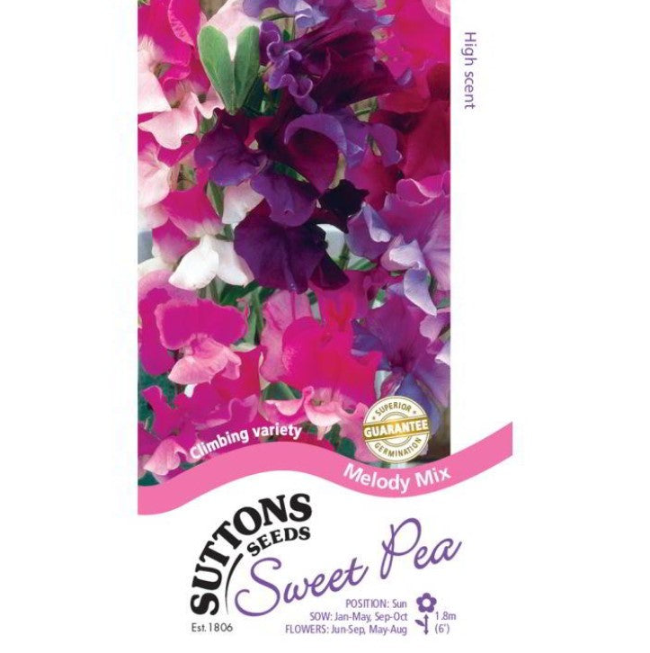 Sweet Pea Melody Mix Flower Seeds
