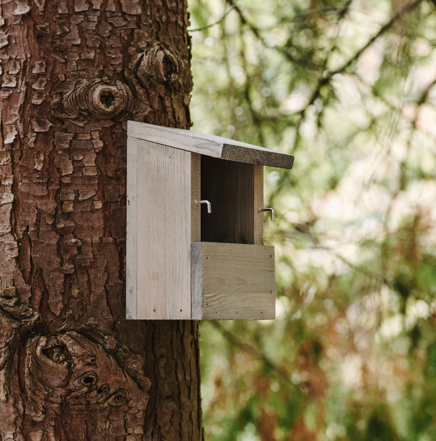 Peckish Everyday Nest Box