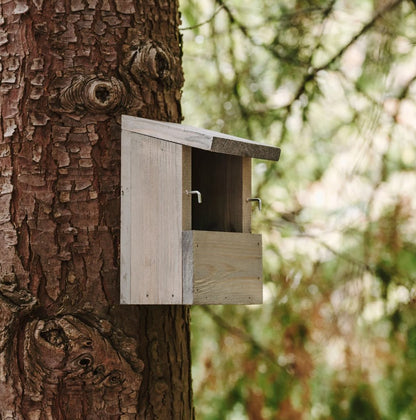Peckish Everyday Nest Box