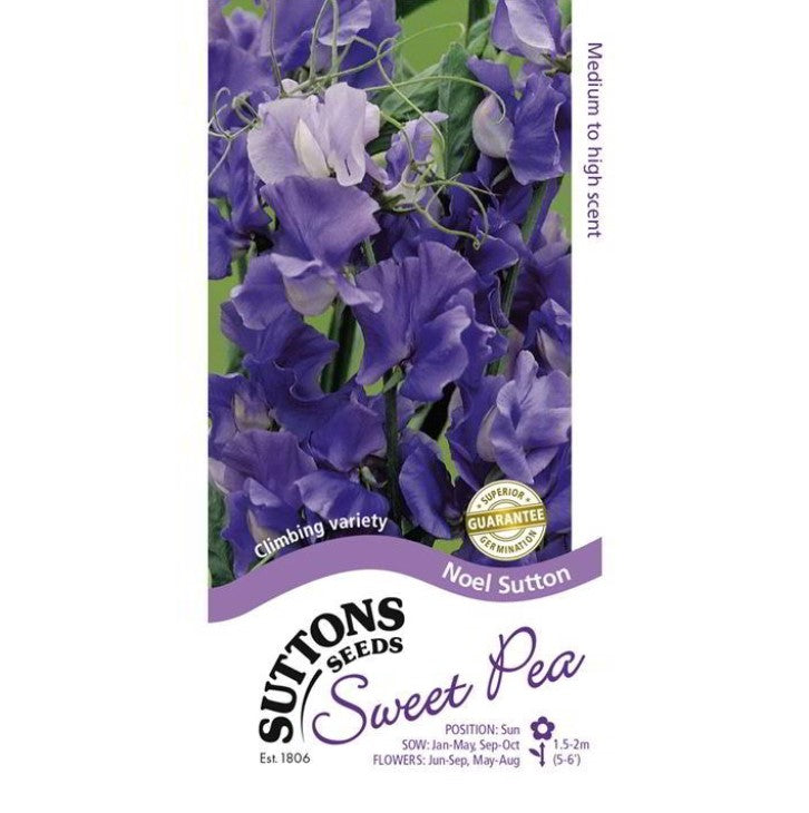 Sweet Pea Noel Sutton Mix Flower Seeds