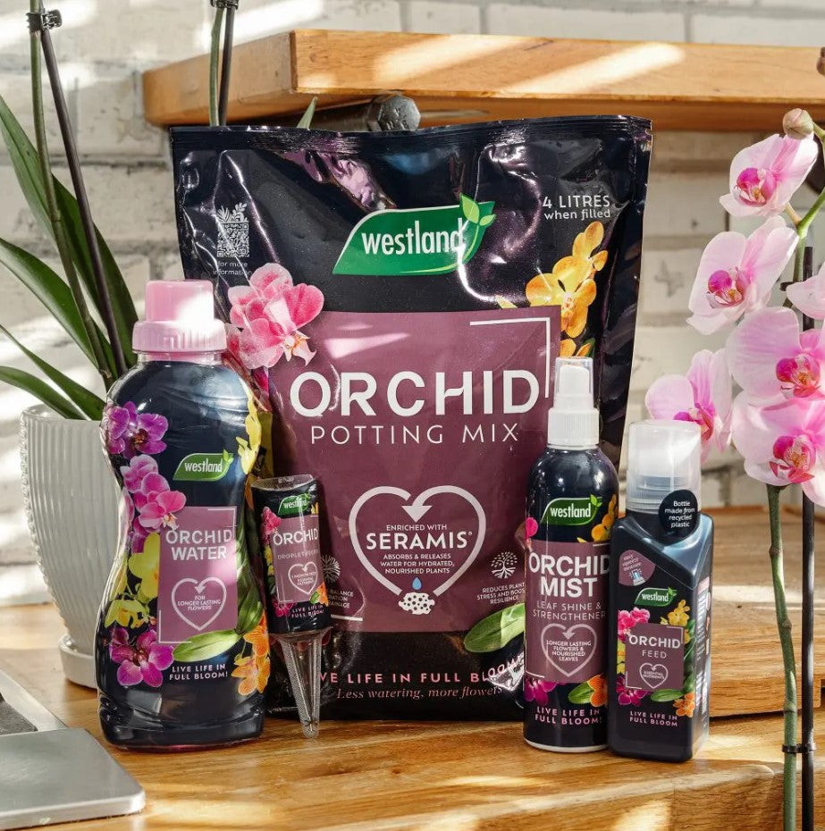 Westland Orchid Feed Concentrate 200ml