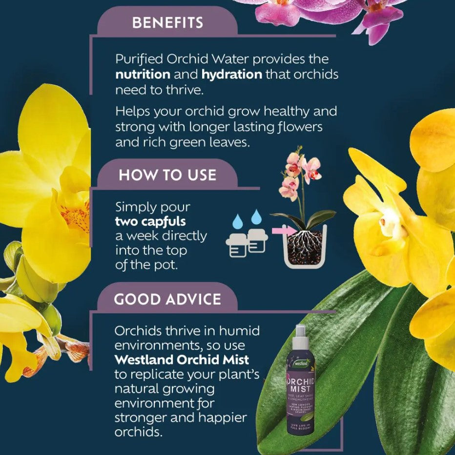 Westland Orchid Water RTU 720ml