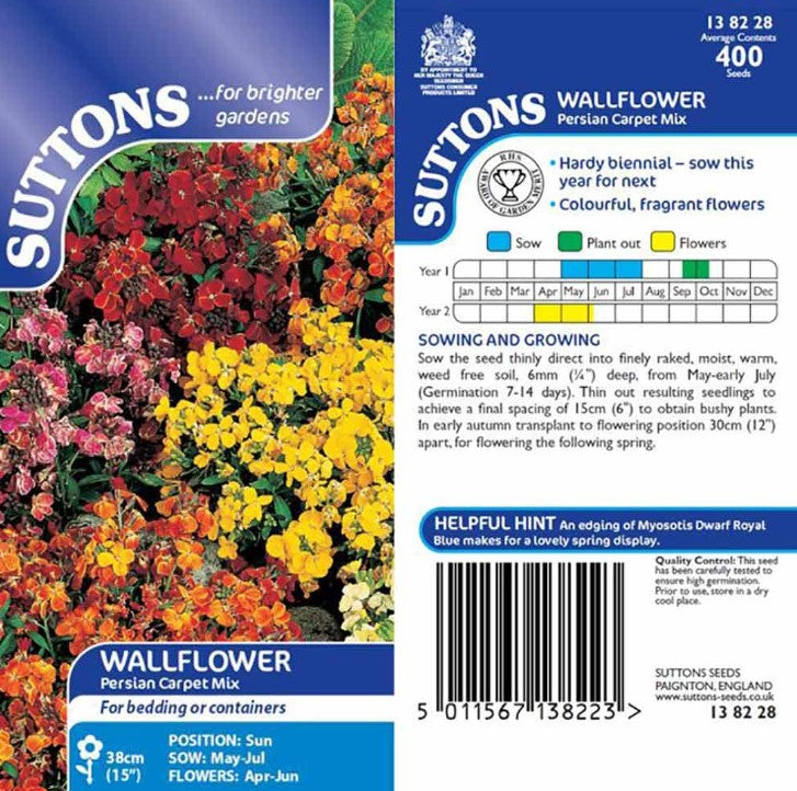 Wallflower Persian Carpet Flower Seeds