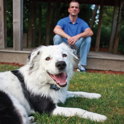 Petsafe Instant Fence – homeland-ie - Main Image