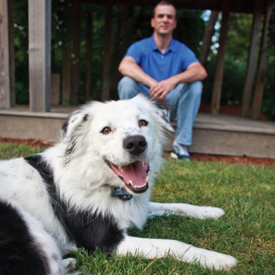 June Pet Offers