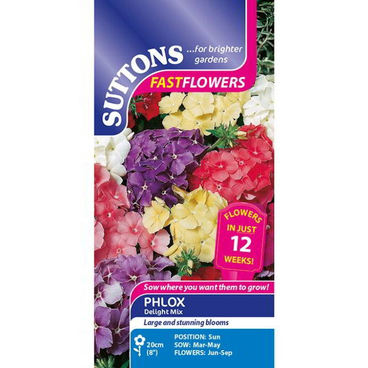 Phlox Delight Mix Flower Seeds