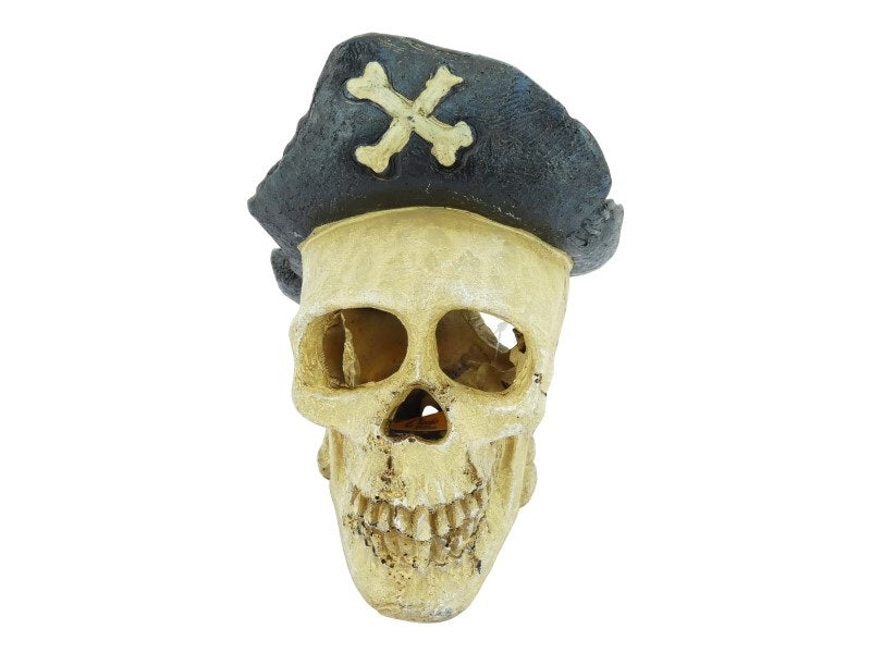 Aquarium Pirate Skull