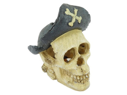 Aquarium Pirate Skull