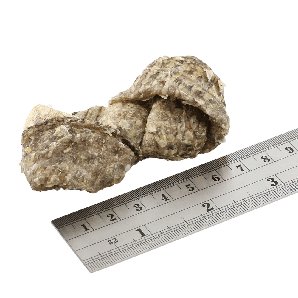 Fish4Dogs Dental Sea Jerky Fish Knots 100g