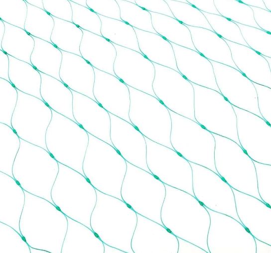 Plant Protection Net