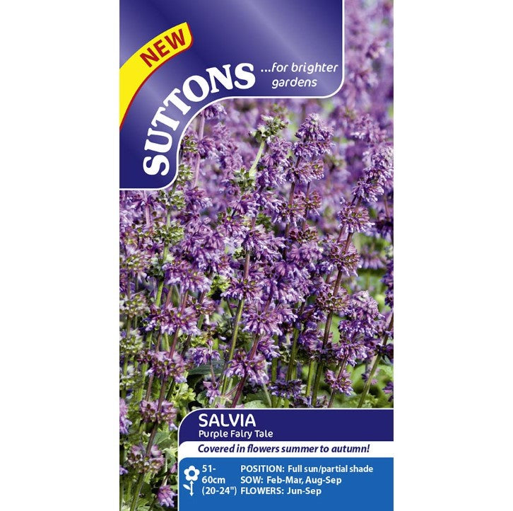 Salvia Purple Fairy Tale Flower Seeds