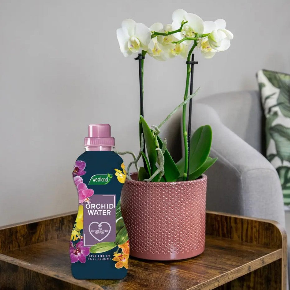 Westland Orchid Water RTU 720ml