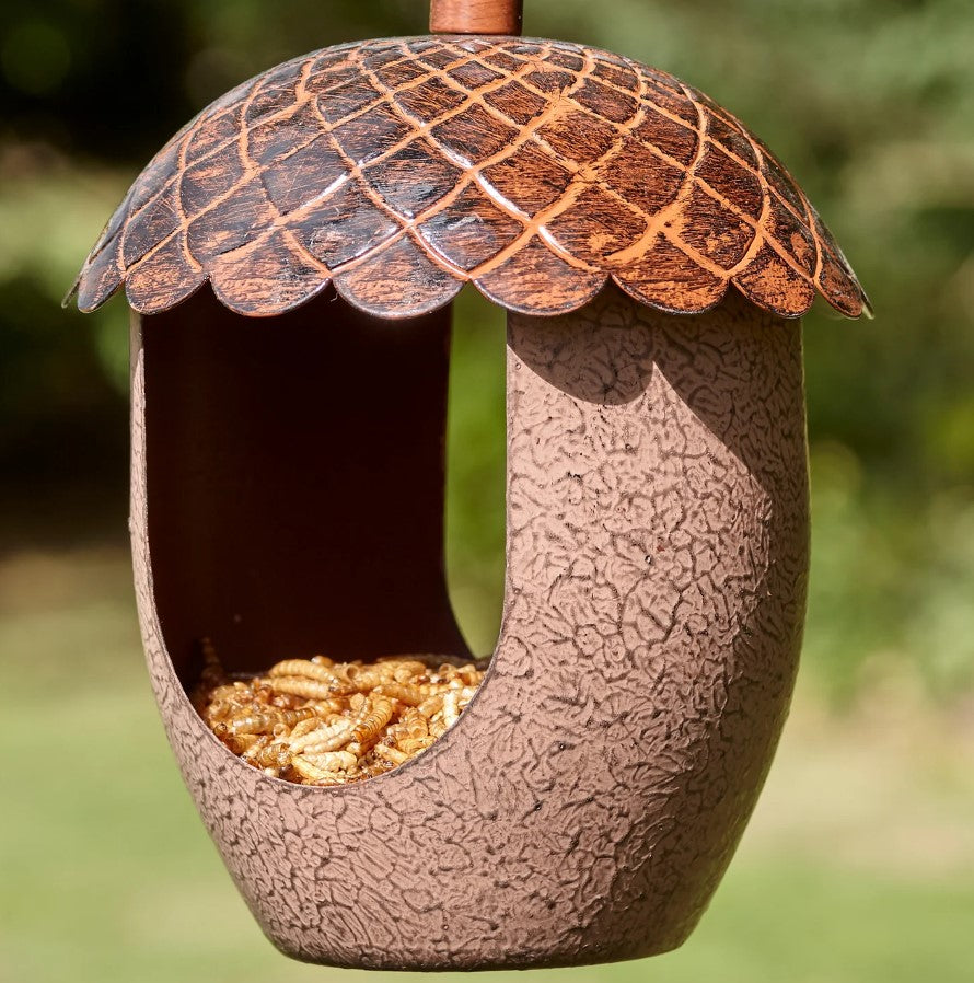 Peckish Acorn Treat Bird Feeder