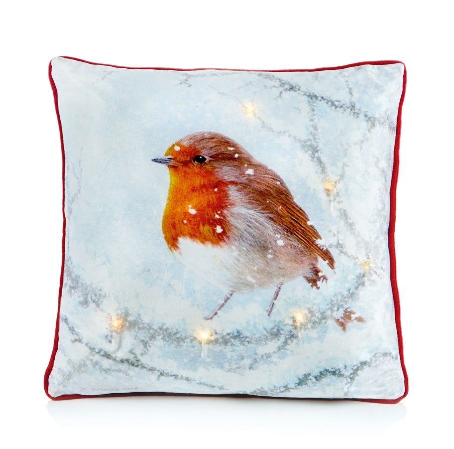 Lit Robin Cushion - 45x45cm