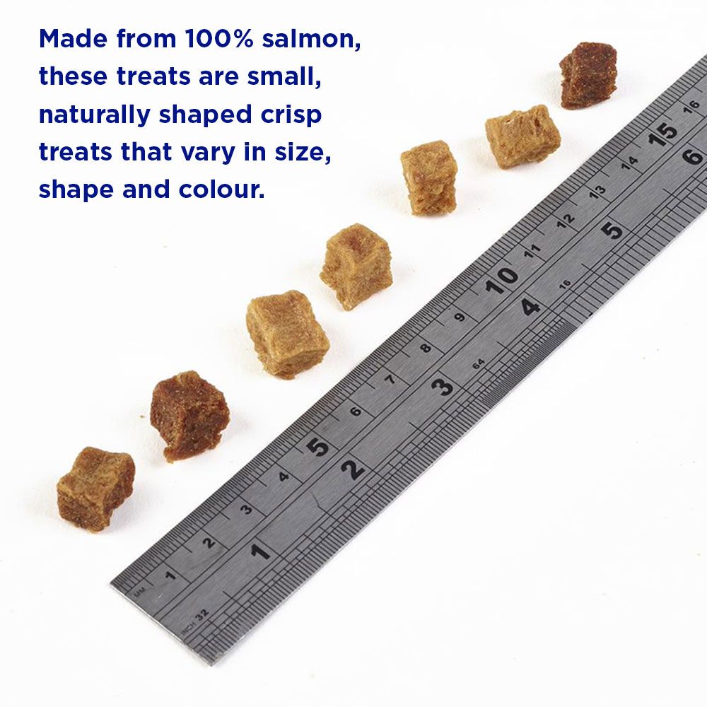 Fish4Dogs Training Puppy Salmon Bites 80g