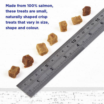 Fish4Dogs Training Adult Salmon Bites 80g