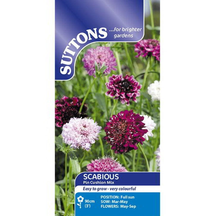 Scabious Pin Cushion Mix Flower Seeds