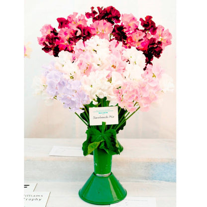 Sweet Pea Show Bench Mix Flower Seeds