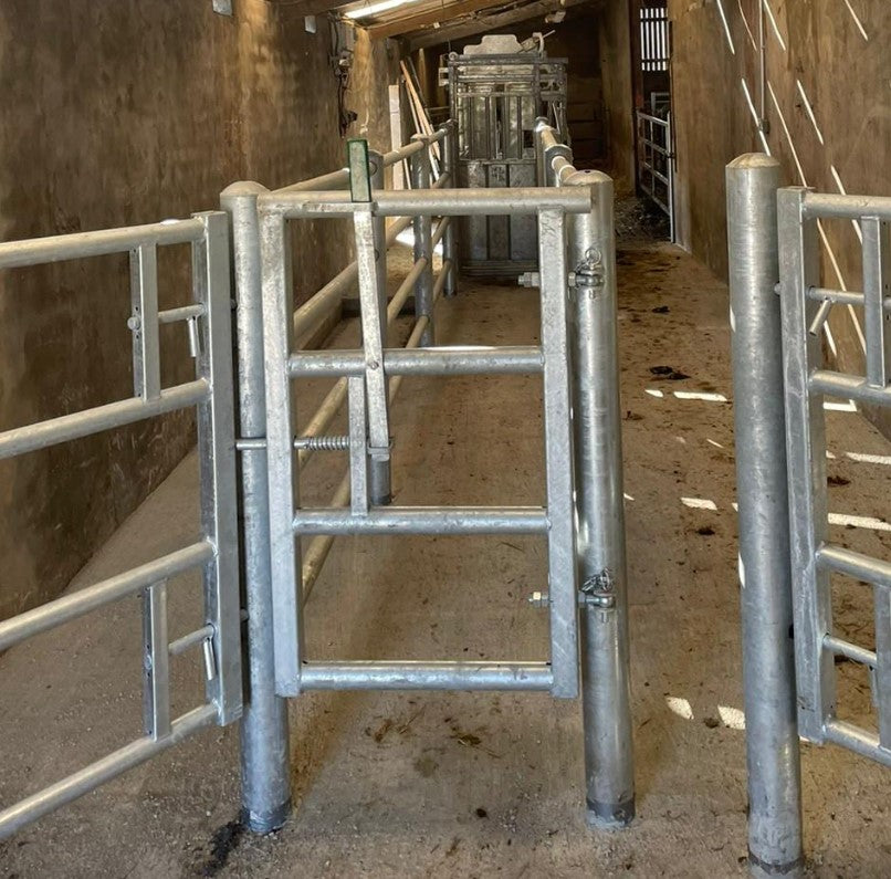 Crush Slam Back Gate