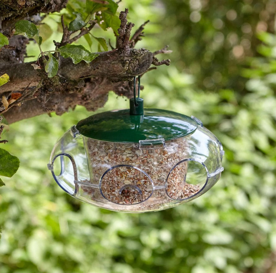 Peckish Small Bird Seed Feeder