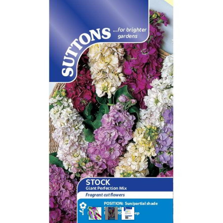 Stock Giant Perfection Mix Flower Seeds