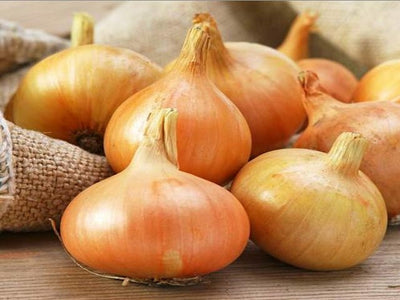 Garlic, Onion Sets & Shallots