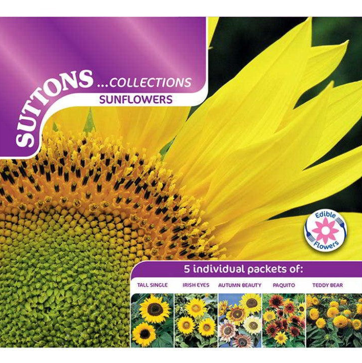 Sunflower Collection Flower Seeds