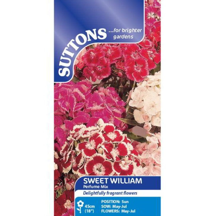 Sweet William Perfume Mix Flower Seeds