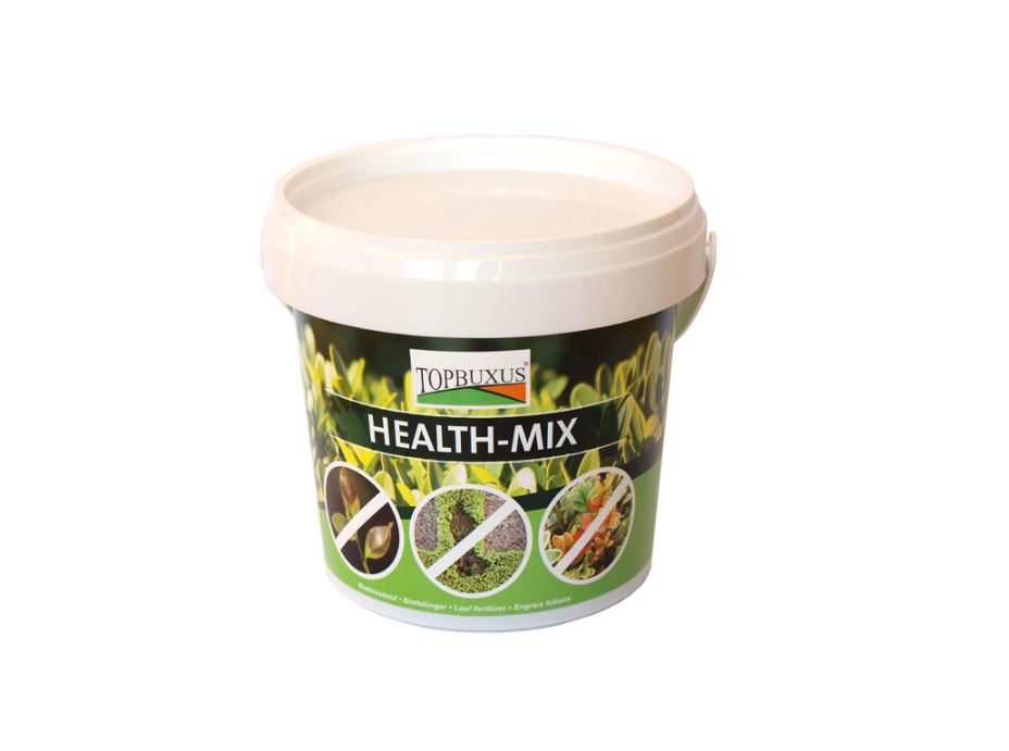 Topbuxus &