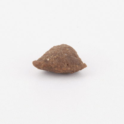 Fish4Dogs Super Stars Training Treats 150g